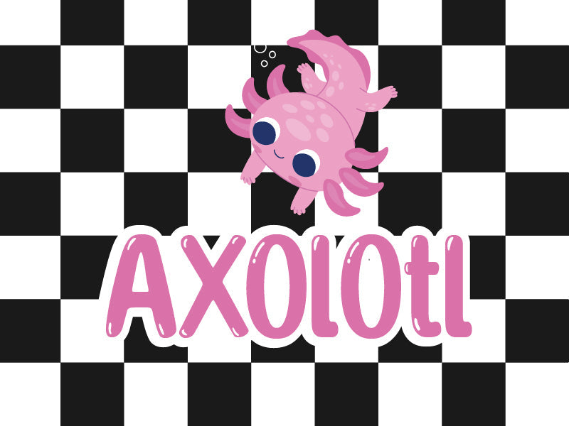 Axolotl