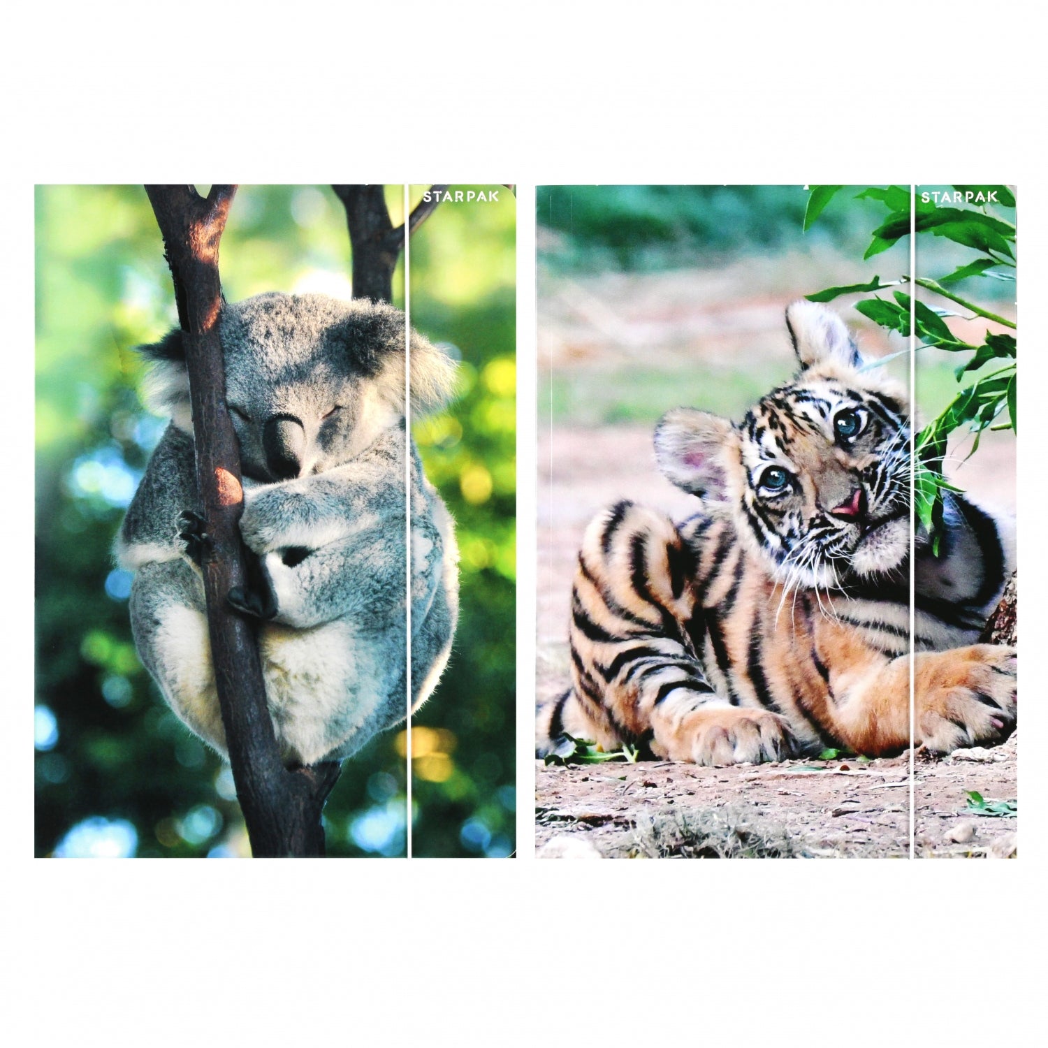 Teczka z gumką A4 Wild Animal2