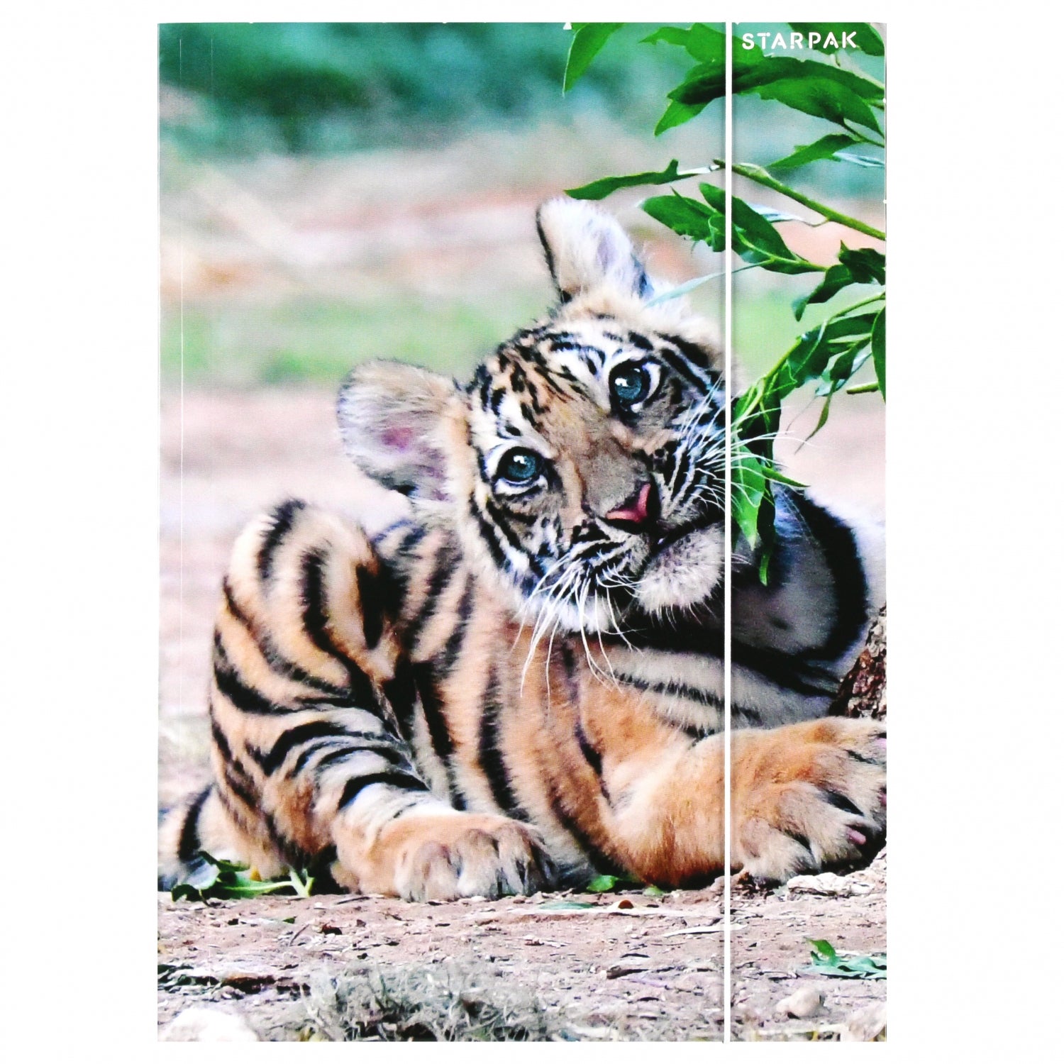 Teczka z gumką A4 Wild Animal2